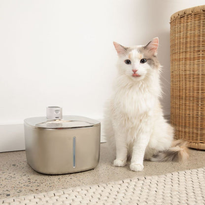 PureFlow Filtered Water Fountain – Fresh, filtered water your cat actually wants to drink