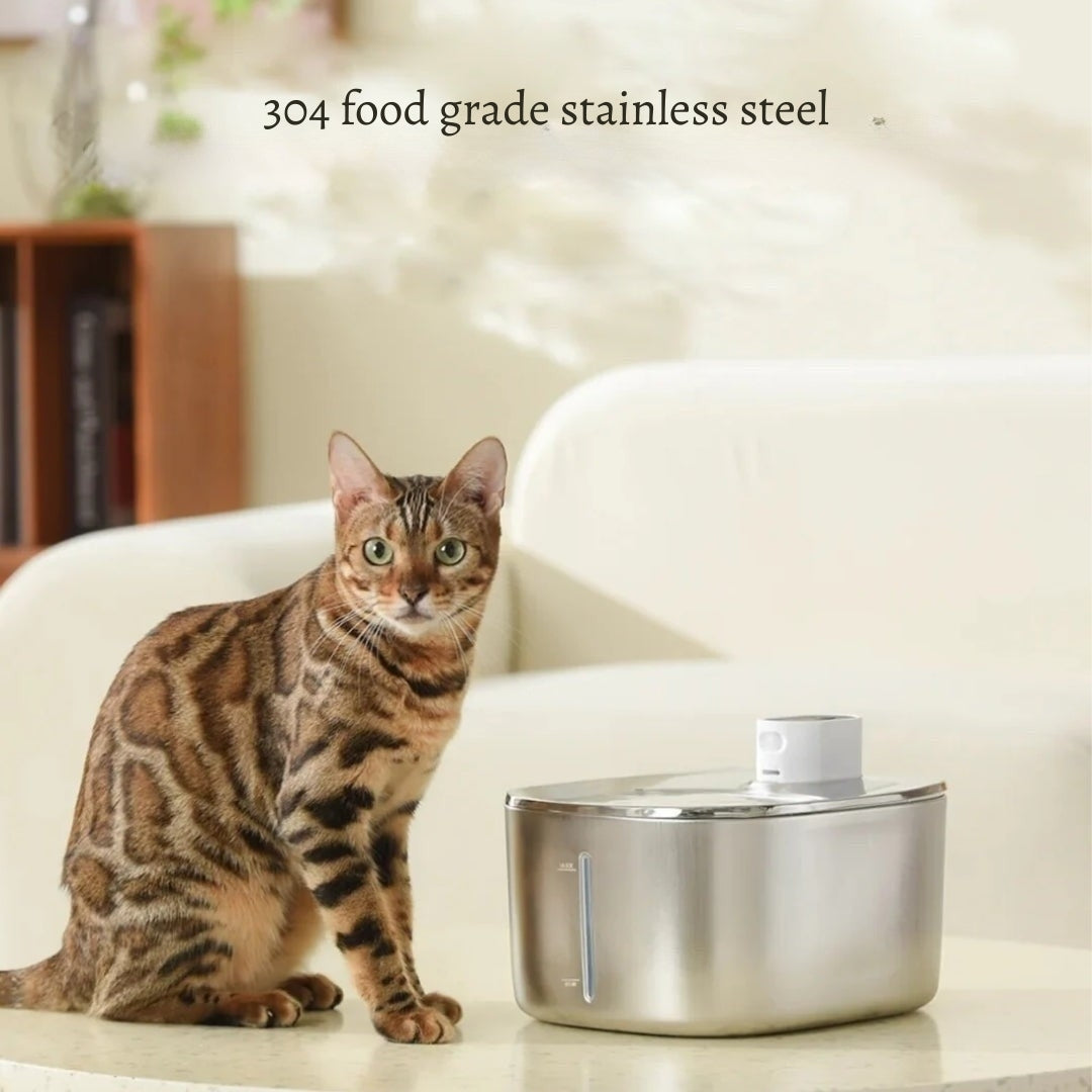 PureFlow Filtered Water Fountain – Fresh, filtered water your cat actually wants to drink