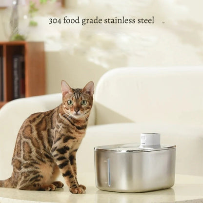 PureFlow Filtered Water Fountain – Fresh, filtered water your cat actually wants to drink