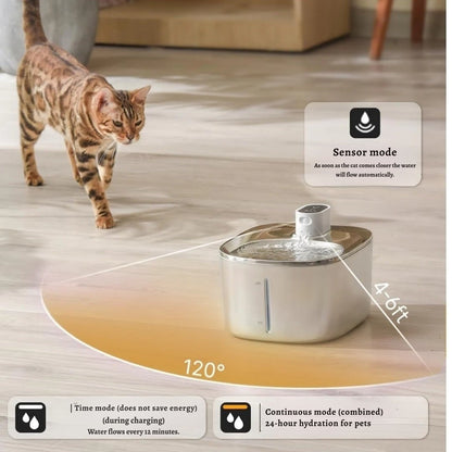 PureFlow Filtered Water Fountain – Fresh, filtered water your cat actually wants to drink